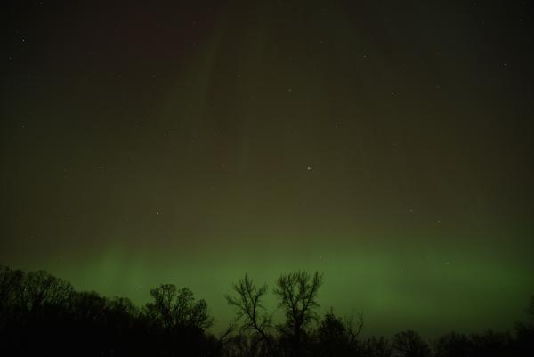 Night Sky
