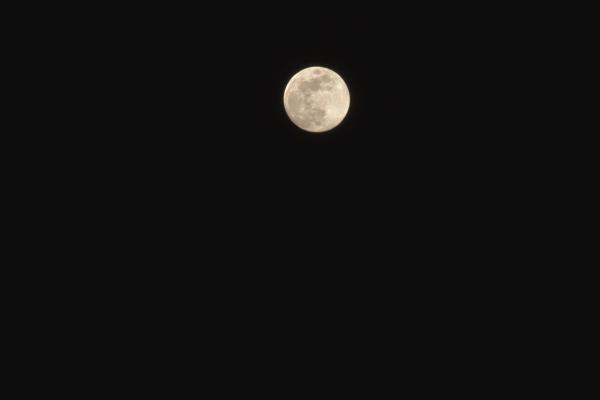 Celestial Bodies