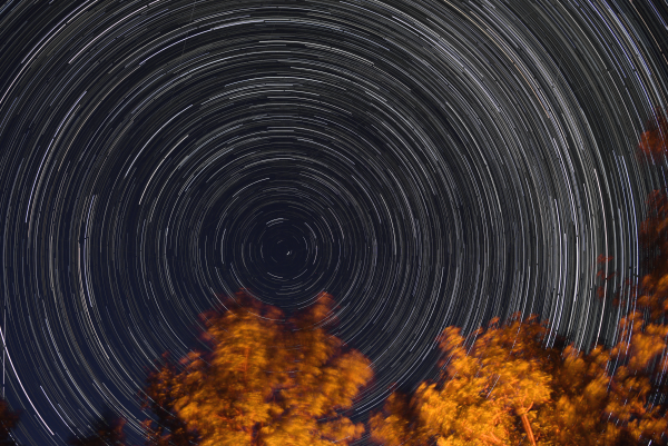 Stars