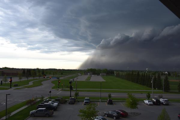 Weather